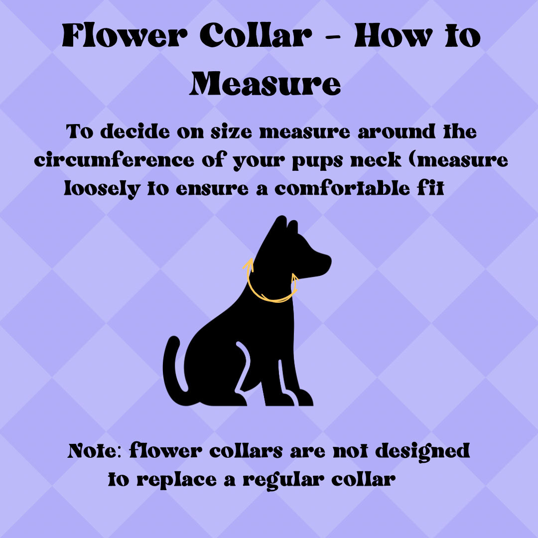 Winter Wildflower Dog Flower Crown/Collar