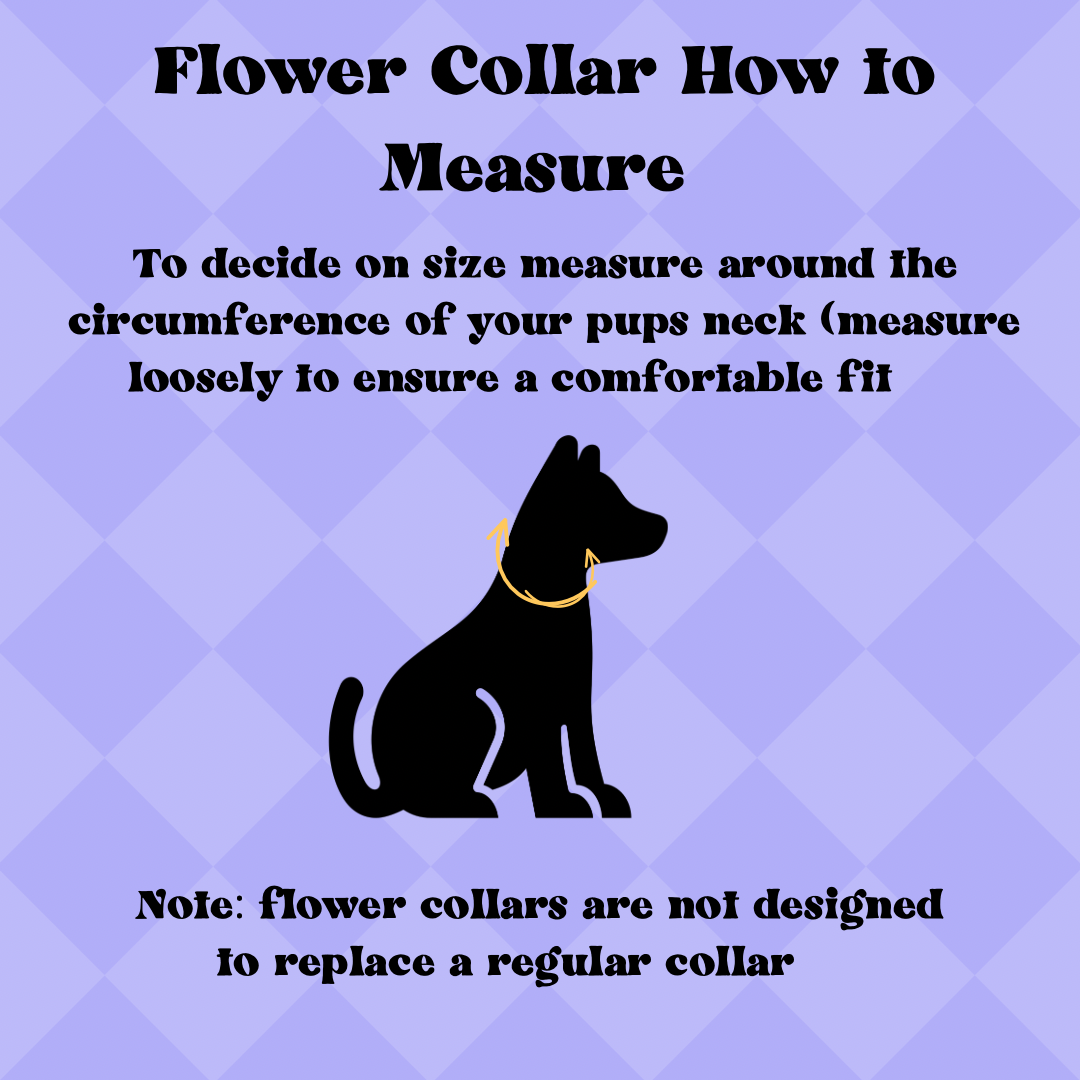 Boho Neutral Dog Flower Crown/Collar
