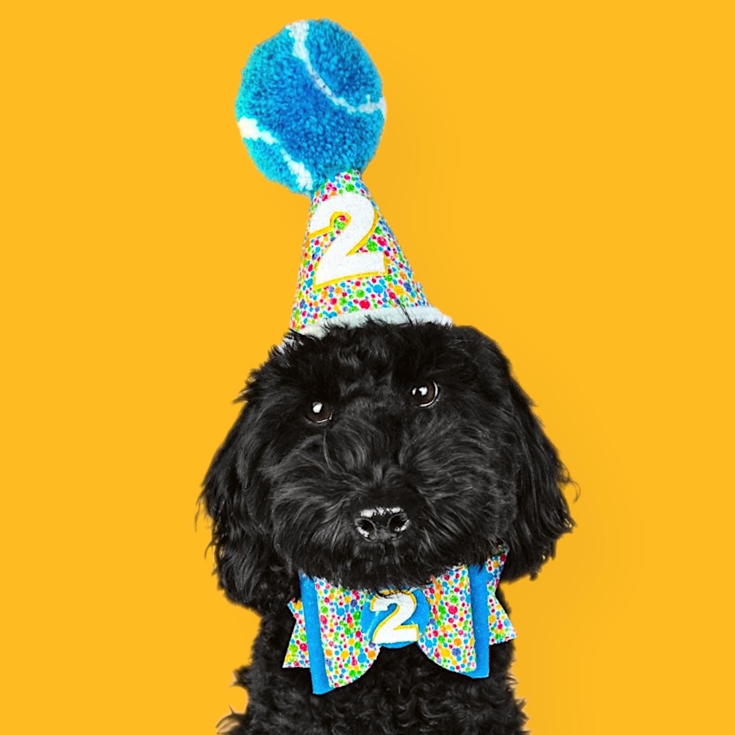 So Fetch Tennis Ball Dog Party Hat