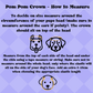 Pom Pom Dog Crown/Crown