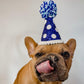 Spotty Blue Dog Party Hat