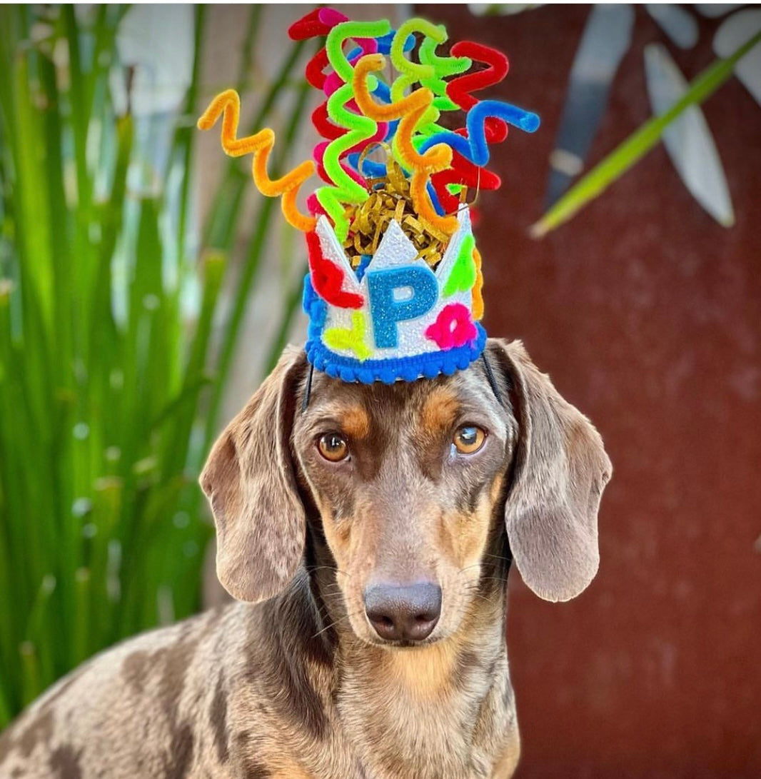 Party Poppers Dog Party Crown