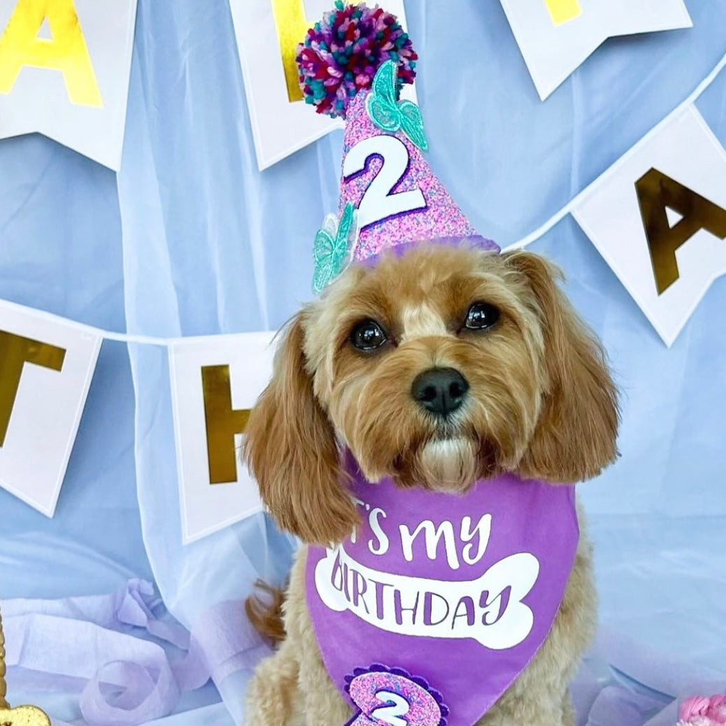 Purple Butterfly Dog Party Hat