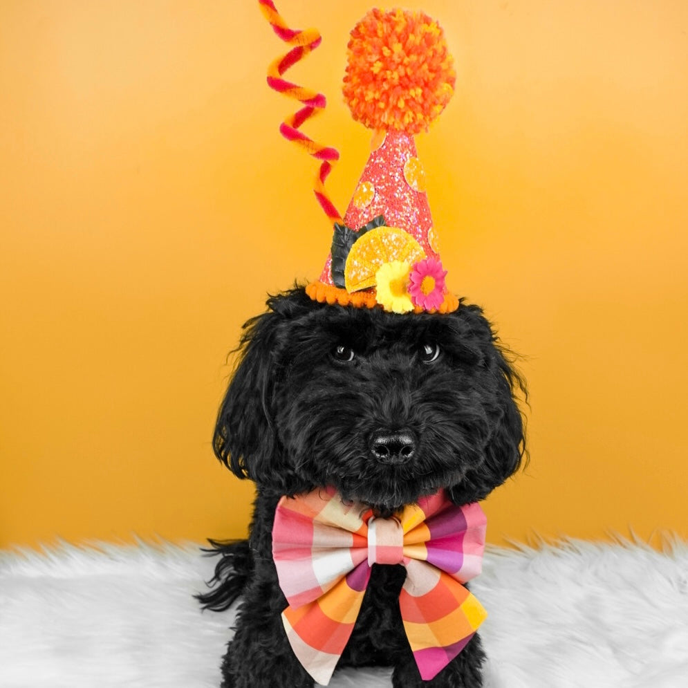 Pink Cocktail Dog Party Hat